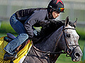 Paddy O'Prado