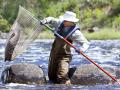 Scooping a sturgeon
