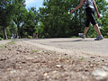Calhoun paths