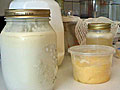 Raw dairy products