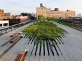 The High Line