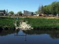 Collection pond
