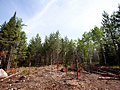 Exploratory drill site