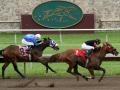 Canterbury Park