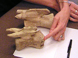 Larger view
