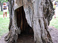 Larger view