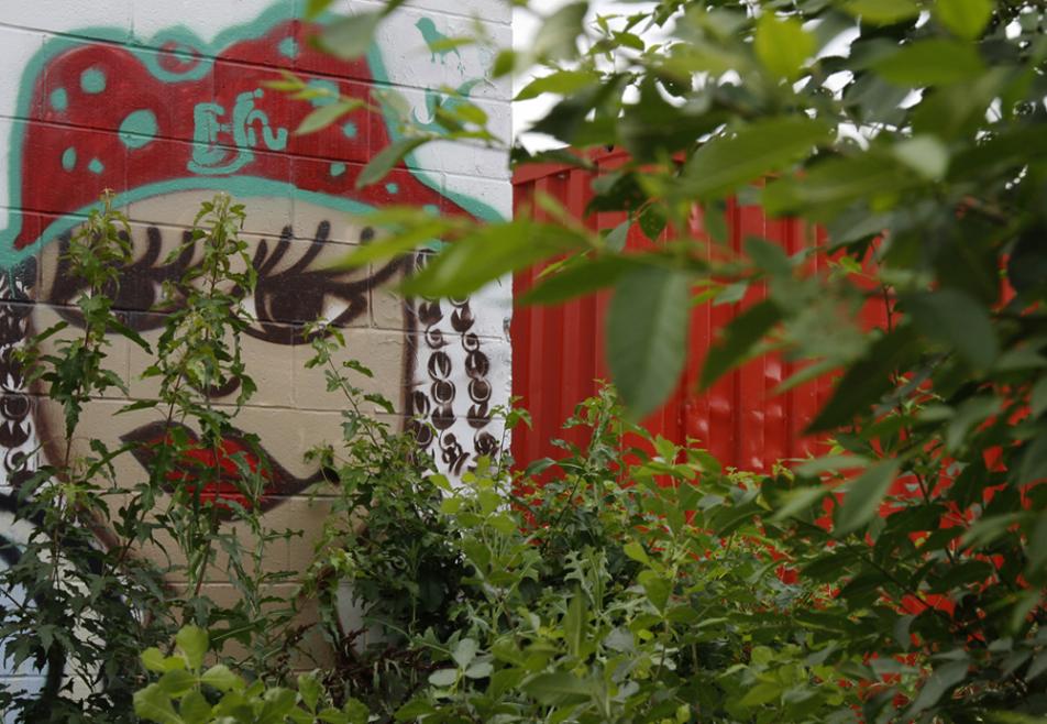 Mural 5