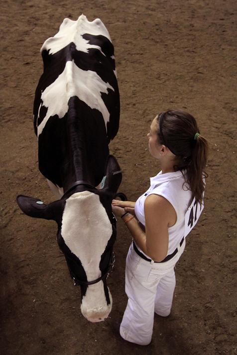 4-H at the fair