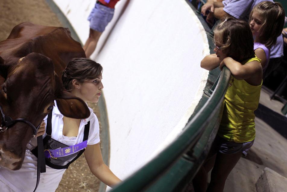 4-H at the fair