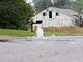 Manhole flooded