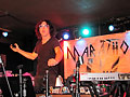 Mark Mallman