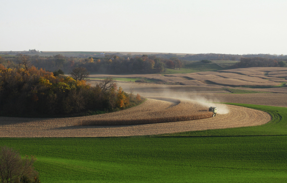 Fall in Minnesota.