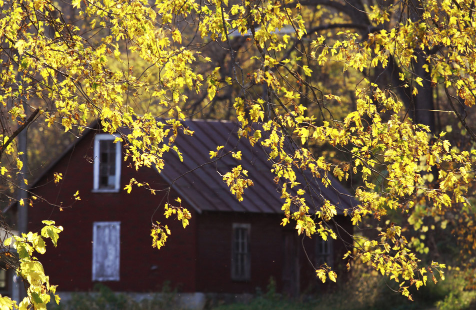 Fall in Minnesota.