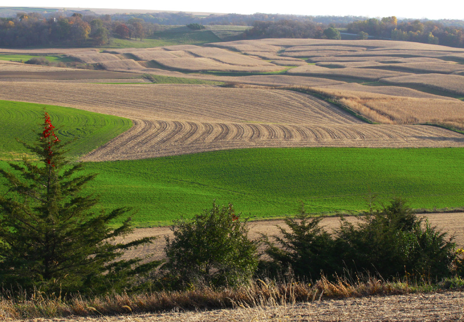 Fall in Minnesota.