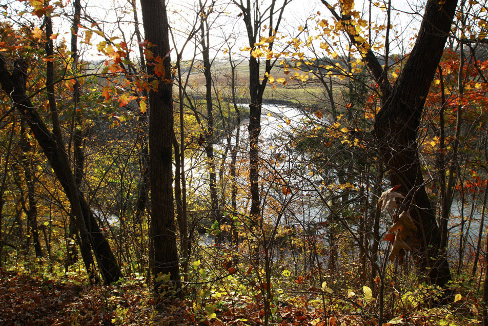 Fall in Minnesota.