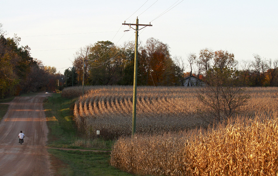 Fall in Minnesota.