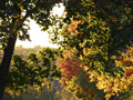 Fall in Minnesota.