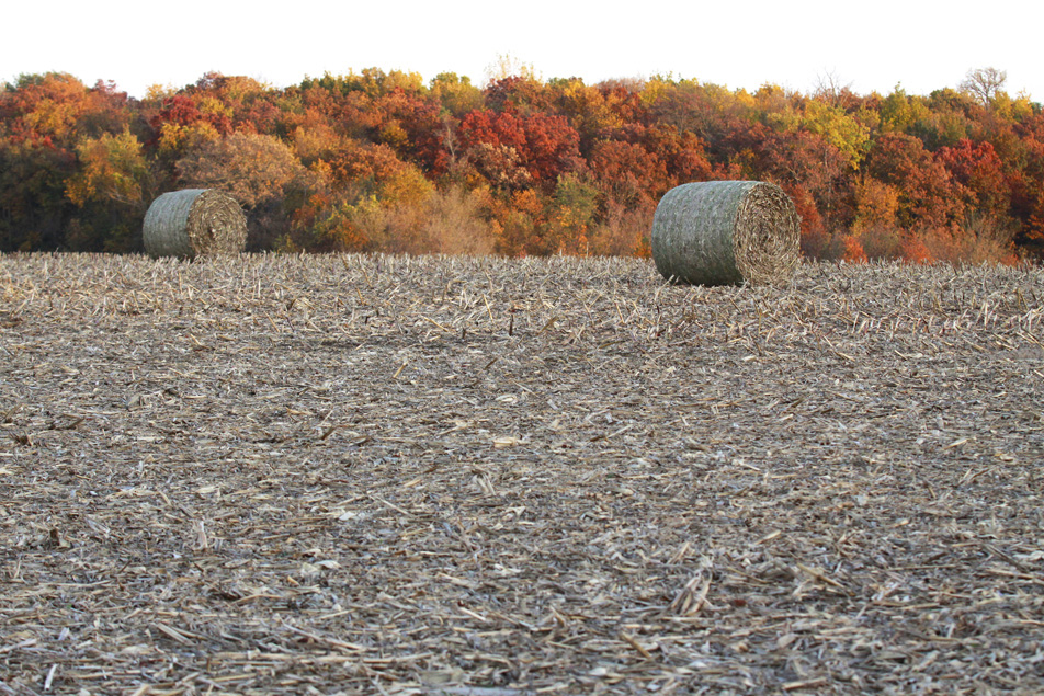 Fall in Minnesota.
