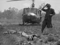 Soldier Picking Up Dead Body In Vietnam