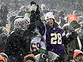Fans at Vikings game