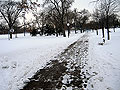 MLK Park in Minneapolis