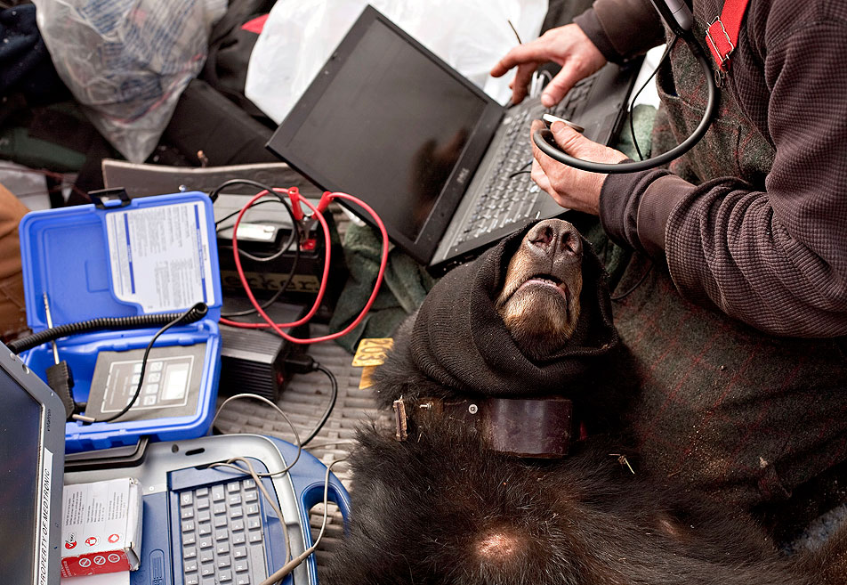 Implanting monitor