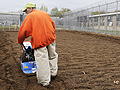 Prison garden