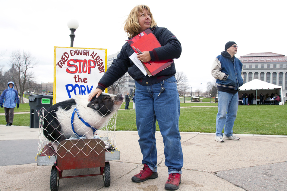 "Stop the Pork"