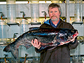 Bighead carp