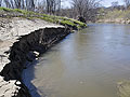 LeSueur River banks