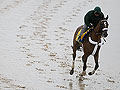 Mucho Macho Man