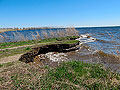 Larger view