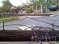 Larger view