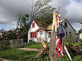 A flag hangs on a torn tree