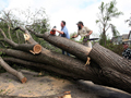 Tornado damage