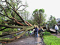 Tornado damage