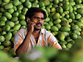 An Indian farmer on a cellphone