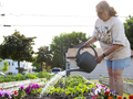 Watering plants