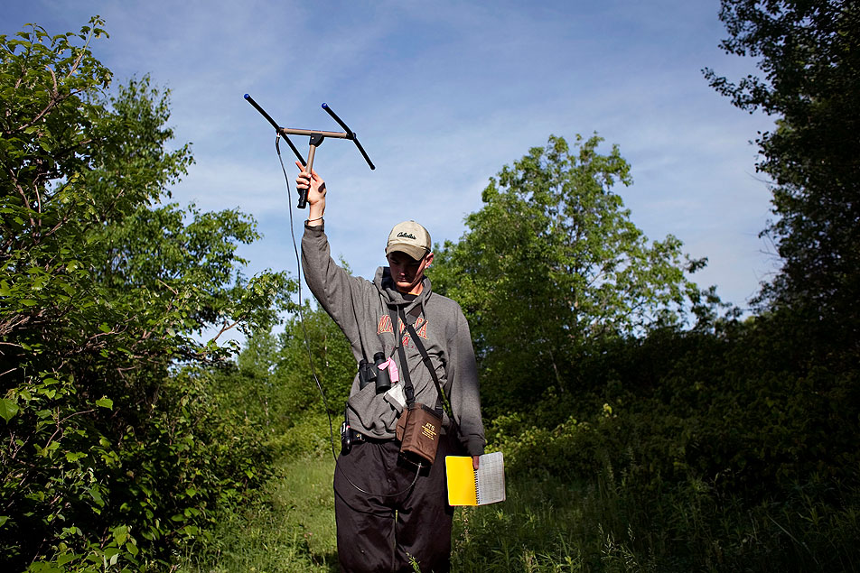 Searching for warblers