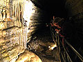Mystery Cave