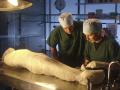 Mummies