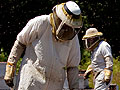 California & Minnesota Honey Farms