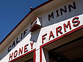 Honey production declines