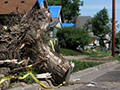Tornado debris