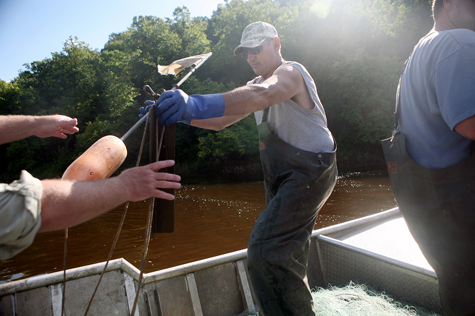 Gathering netting