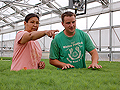 Red Lake seedling greenhouse
