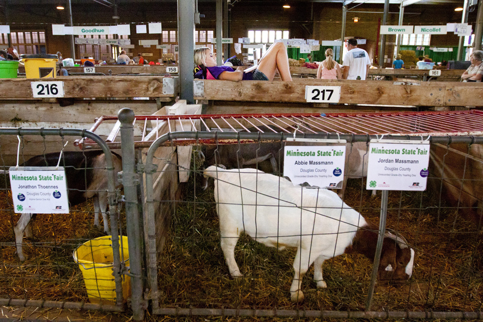 Asleep at the fair