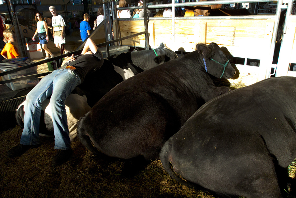 Asleep at the fair