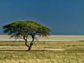Desert edge