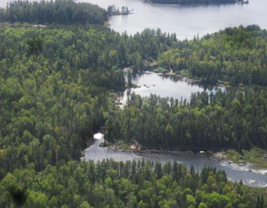 Larger view